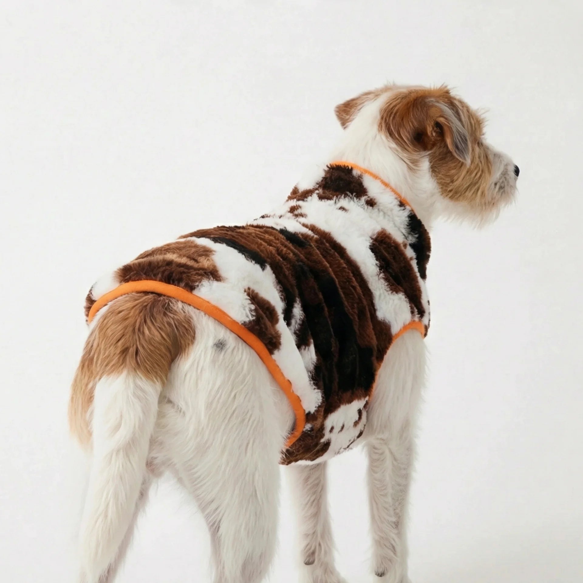 Hugo Fleece