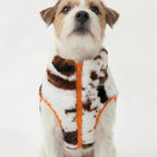 Hugo Fleece