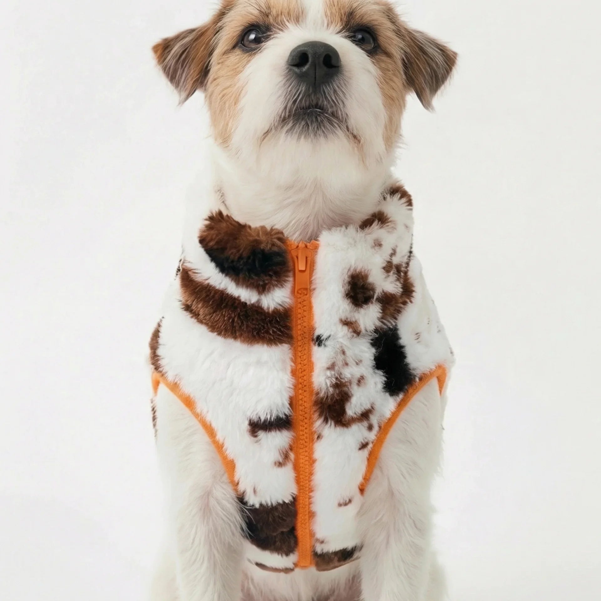Hugo Fleece