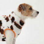 Hugo Fleece