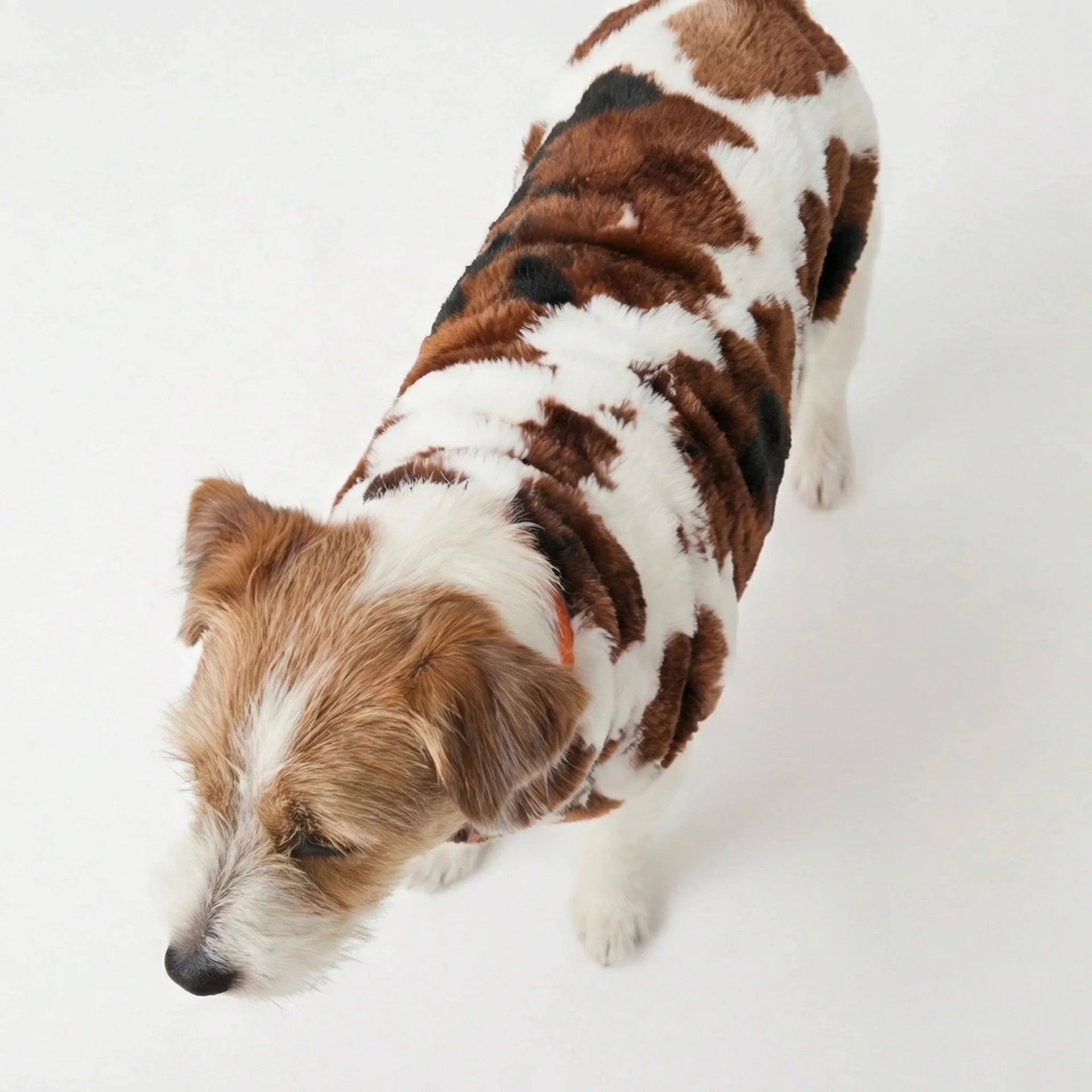 Hugo Fleece