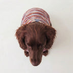 Lúa Fleece