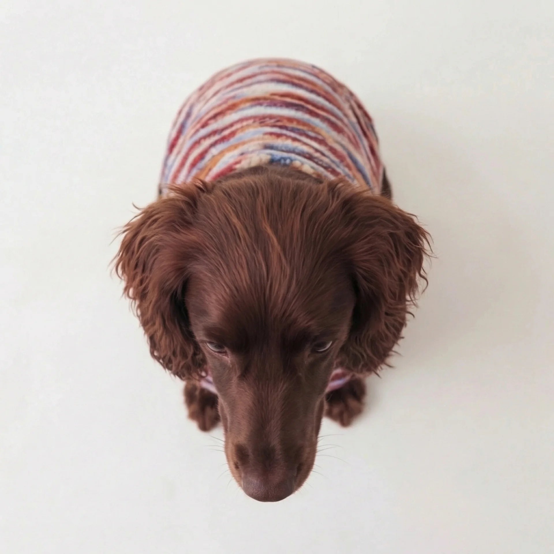 Lúa Fleece